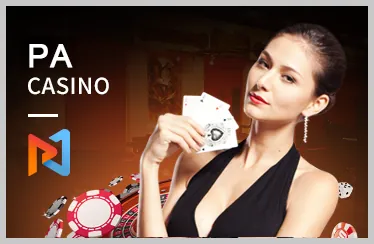 Trận đấu đá gà kịch tính tại trường gà trực tuyến KV88 Bet